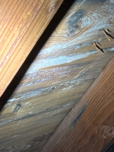 Possible Fungal Growth in the Attic