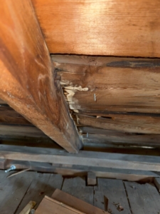 Attic leaking from incorrect shingle installation.